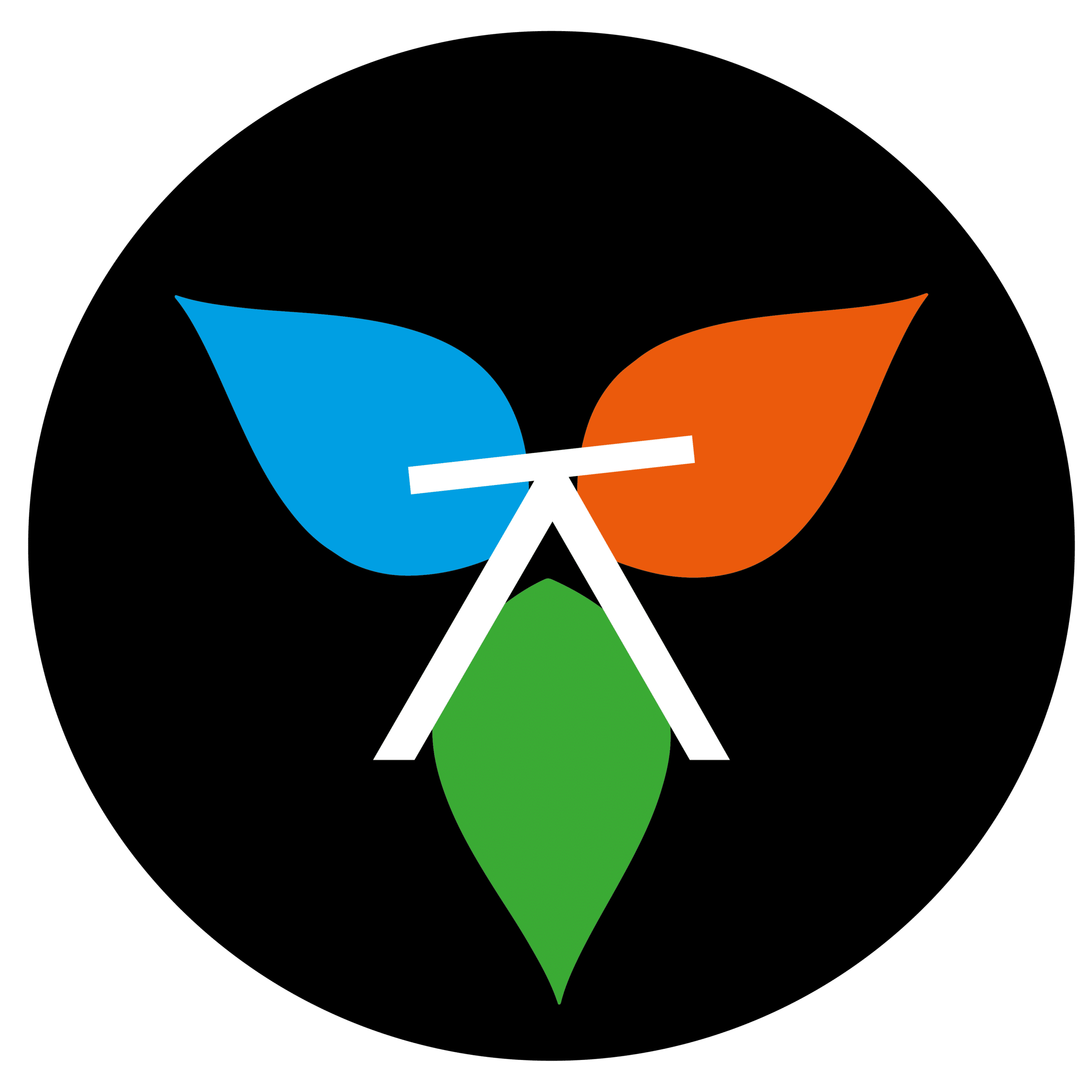 Anzenfit